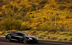 Mercedes-Benz SLR McLaren Wallpaper